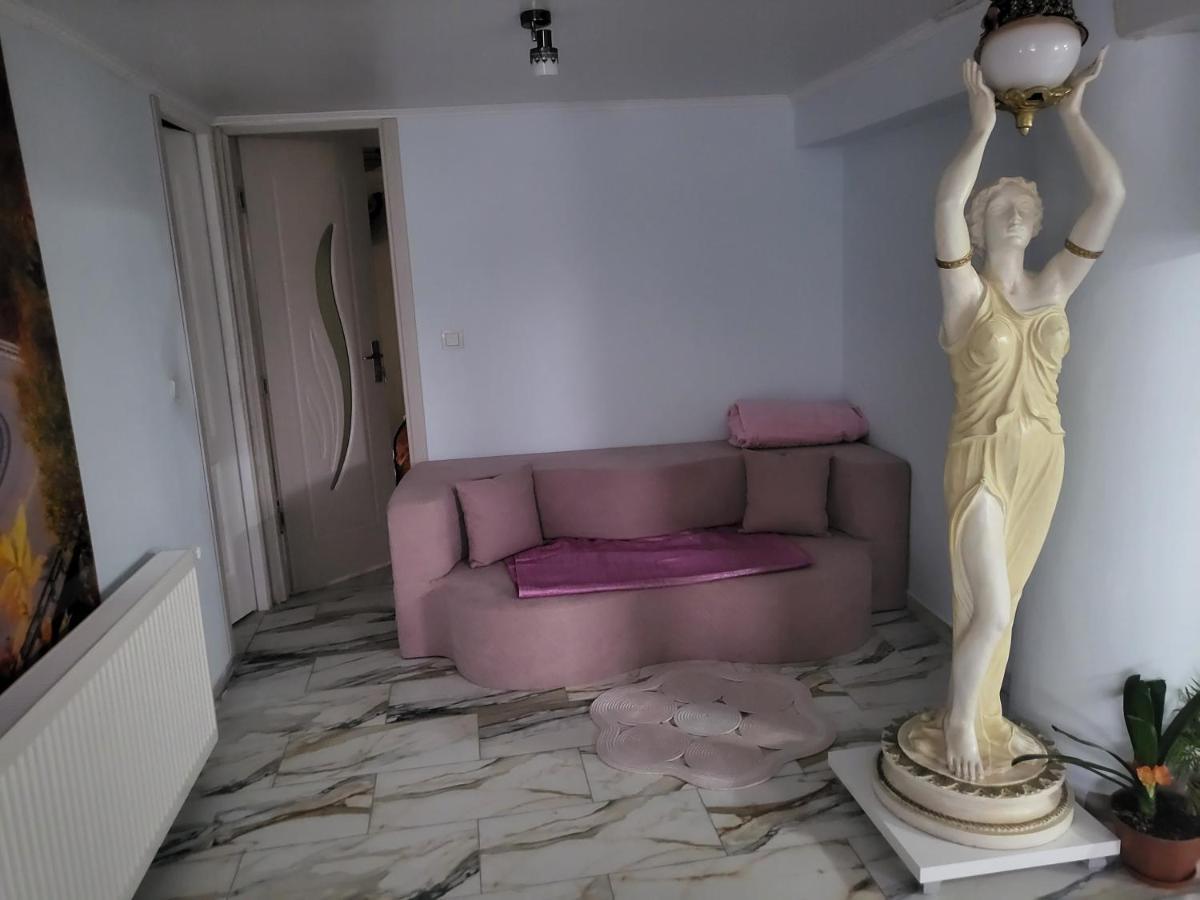 Apartament Cu Terasa Si Gratar Διαμέρισμα Σάτου Μάρε Εξωτερικό φωτογραφία